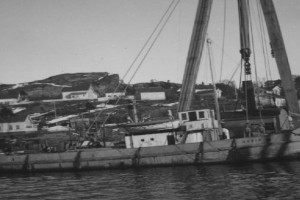 Bilde av Taubåten M/S David